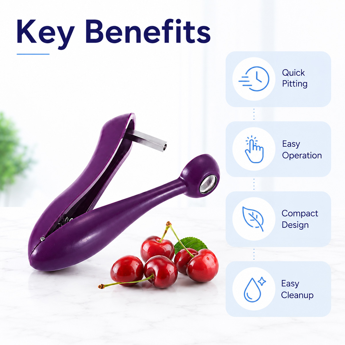 Décortiqueur de cerises manuel - Cherry Pitter Tool avis et prix