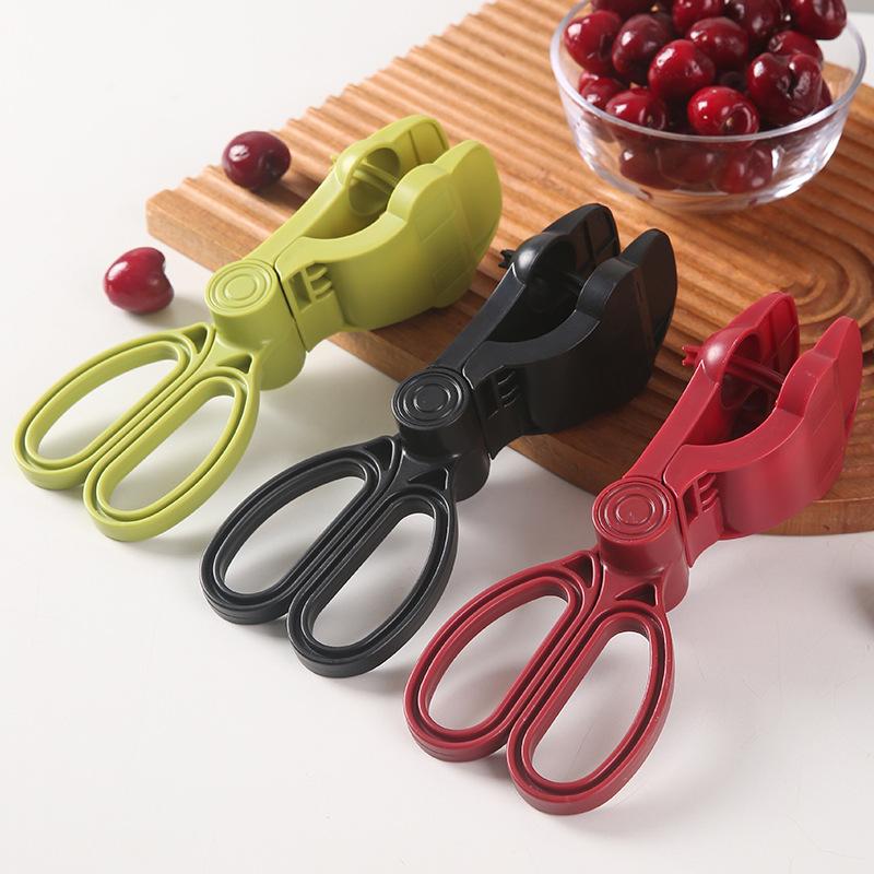 Décortiqueur de cerises ergono - Cherry Pitter Tool avis et prix