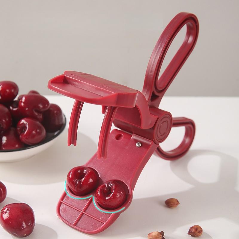 Décortiqueur de cerises ergono - Cherry Pitter Tool avis et prix