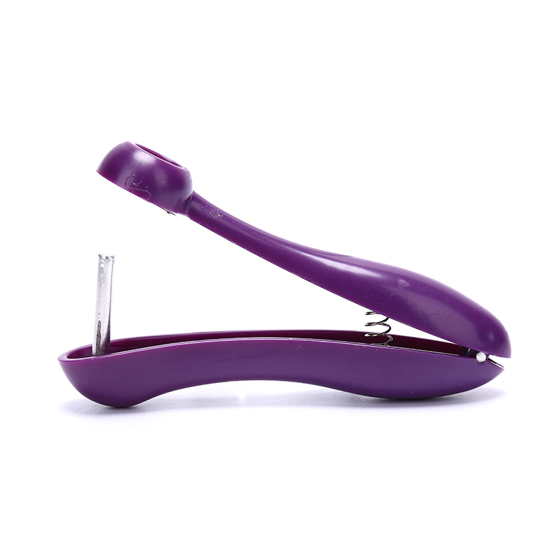 Décortiqueur manuel de cerises - Cherry Pitter Tool avis et prix